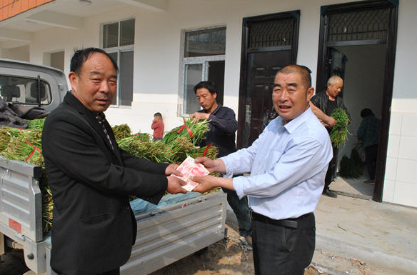周口太康韭菜滞销追踪：近九成韭菜被爱心人士和企业买走